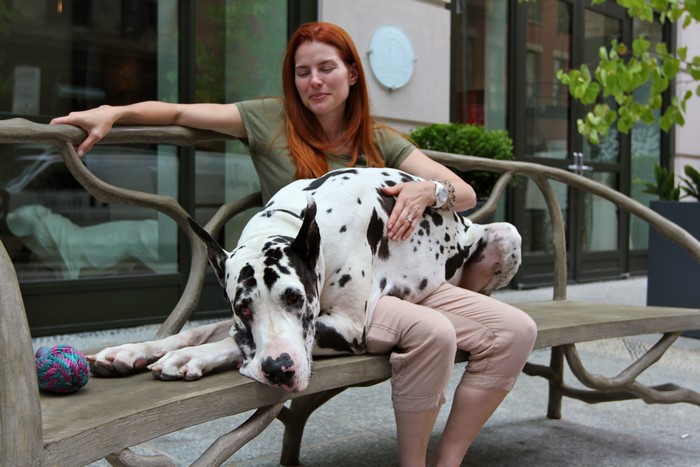 Woman with Great Dane dog on a bench