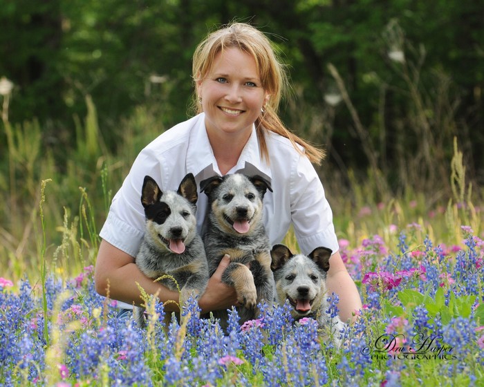 Woman holding three Australian Cattle puppies in a field of flowers