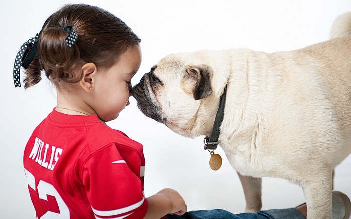 Girl and Pug Dog