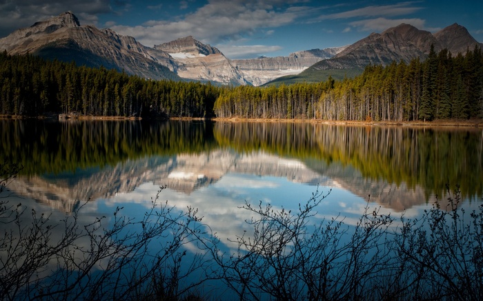 Mountains reflected in a calm lake with pine forest