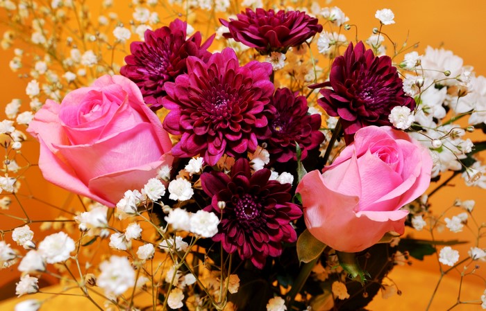 Pink roses and dark red dahlias in a bouquet