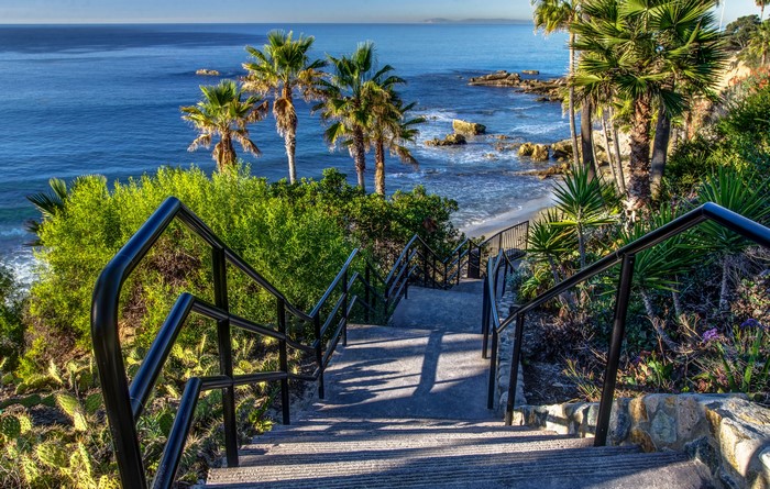 Stairs to the beach with palm trees in Laguna Beach, California