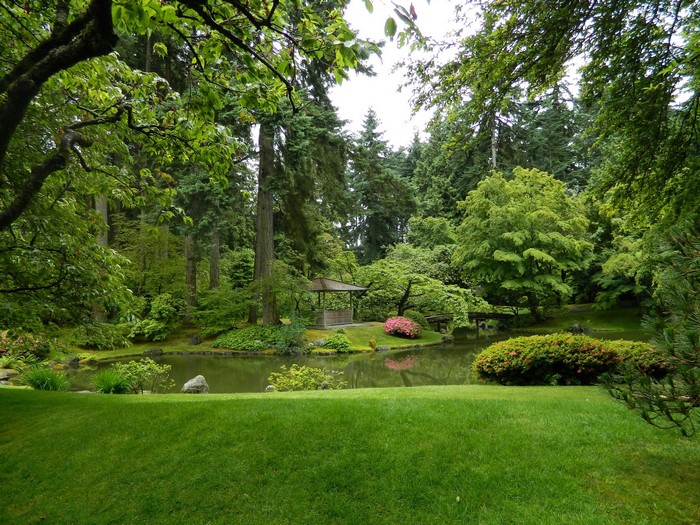 Nitobe Garden Pond with Gazebo and Trees in Vancouver