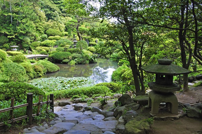 Japanese garden with pond, bridge, and stone lantern