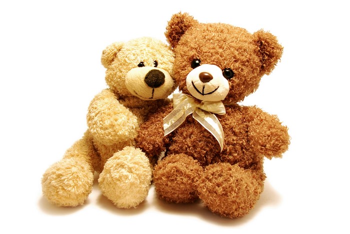 Two teddy bears