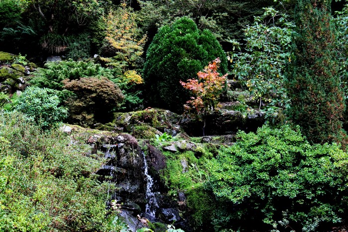 Bodnant Garden, North Wales: Waterfalls and Shrubs