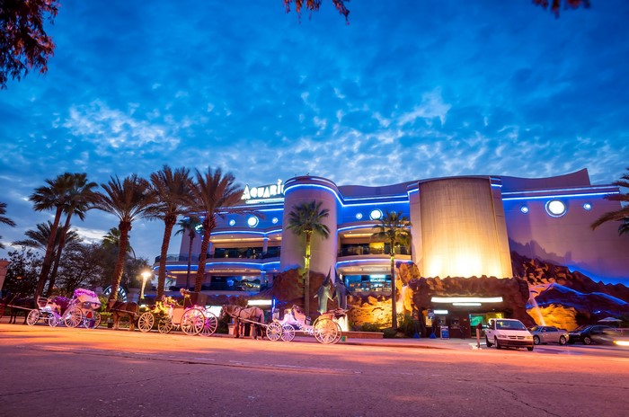 Aquarium in Houston, Texas at Night with Carriages
