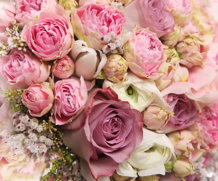 Close-up of pink and purple roses and ranunculus
