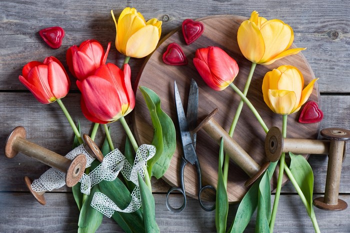 Tulips with floral arrangement tools