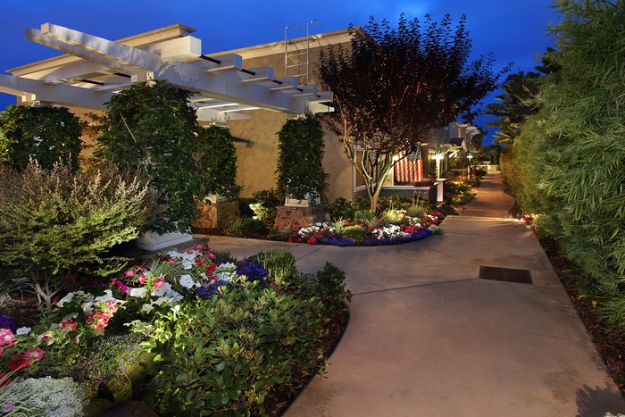 Pathway through a garden with flowers and shrubs at dusk