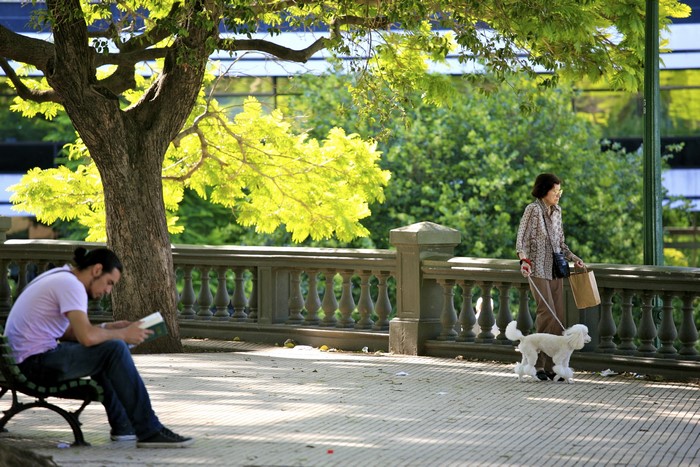 Man reading on bench, woman walking dog in park