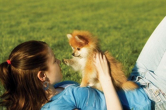 Girl with Pomeranian puppy on grass