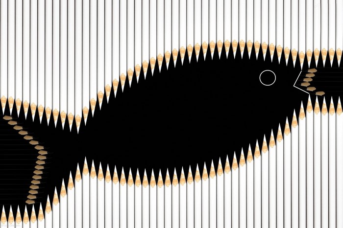 Fish made of pencils