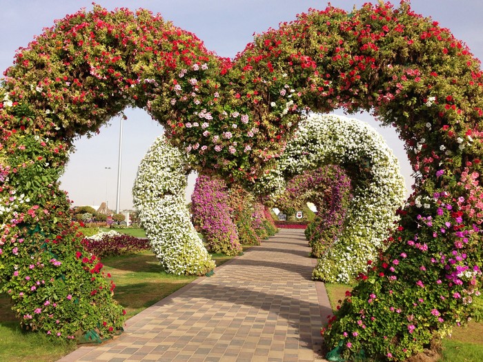 Flower arches in a garden