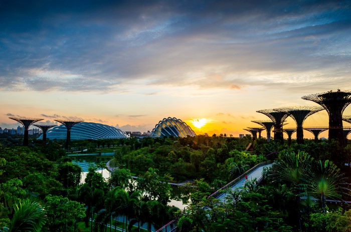Gardens by the Bay Singapore at Sunset