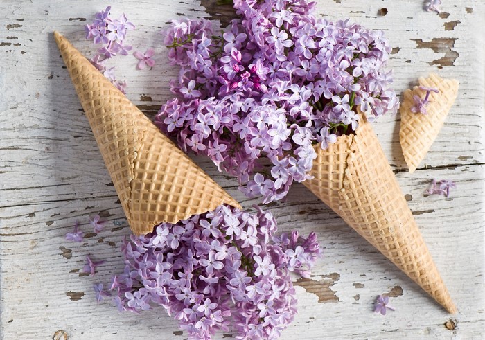 Ice cream cones filled with purple lilacs on a wooden surface