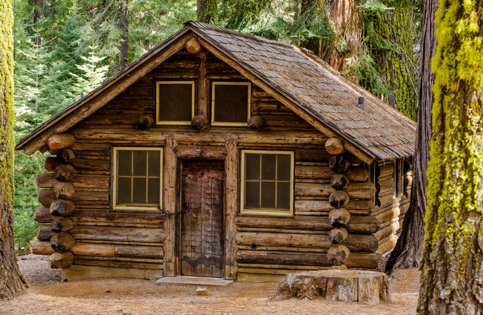 Wooden cabin in a forest