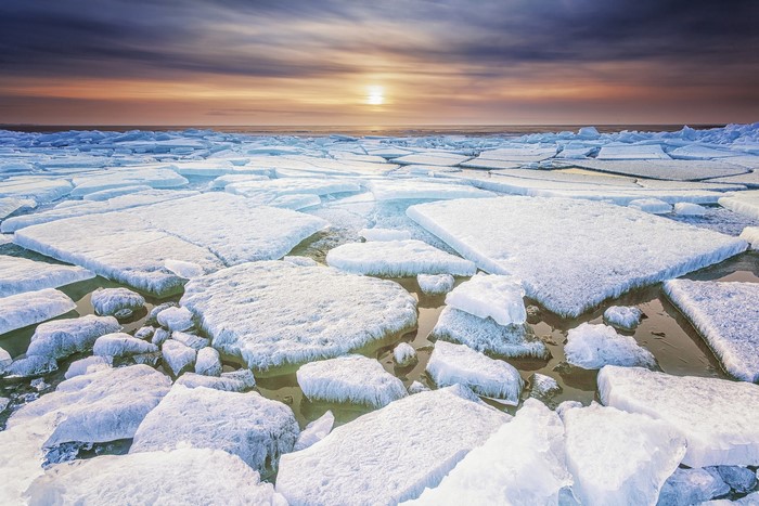 Ice floes on the ocean at sunset