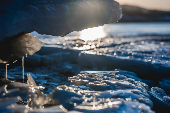 Close-up of ice melting in sunlight