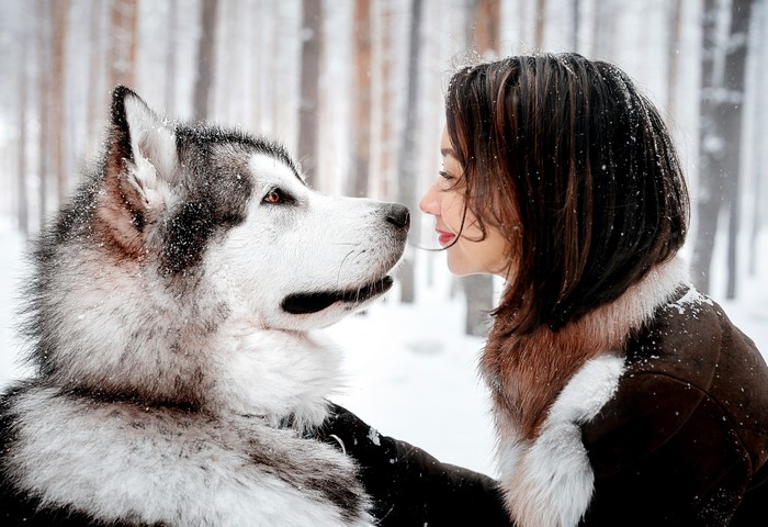 Woman and Alaskan Malamute in Snowy Forest