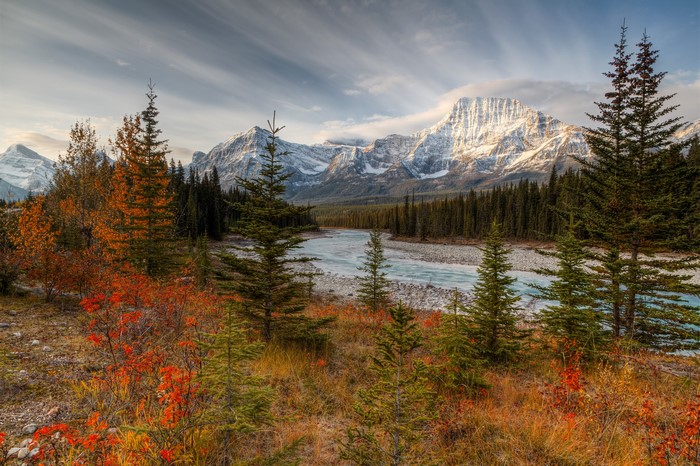 Athabasca River in Autumn with Mountains and Forest