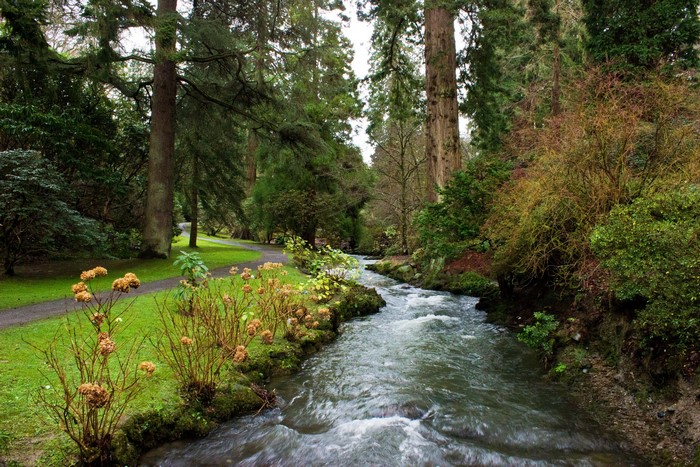 River flowing through a park with trees in the United Kingdom