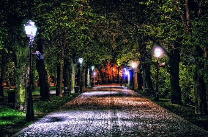 Nighttime Avenue with Street Lights in Rzeszow Park