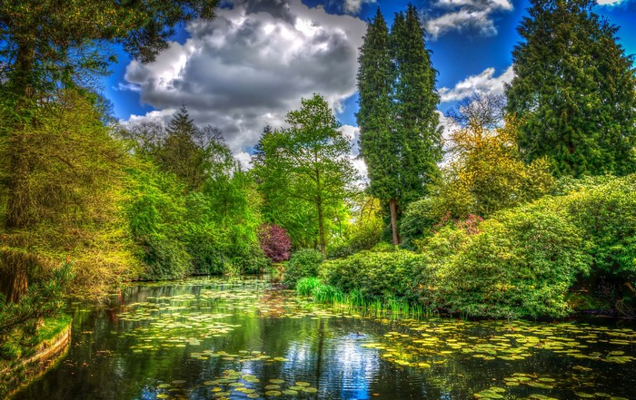 Pond with lily pads and trees in Tatton Park, England