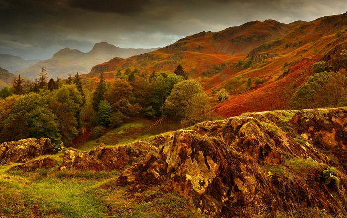 Autumn Mountains with Forests and Rocks