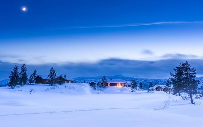 Winter village with moon and snow-covered landscape
