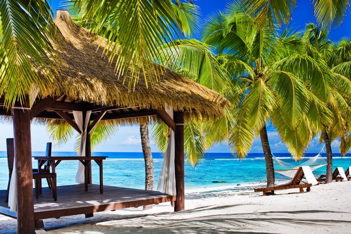 Tropical beach with palm trees and lounge chairs