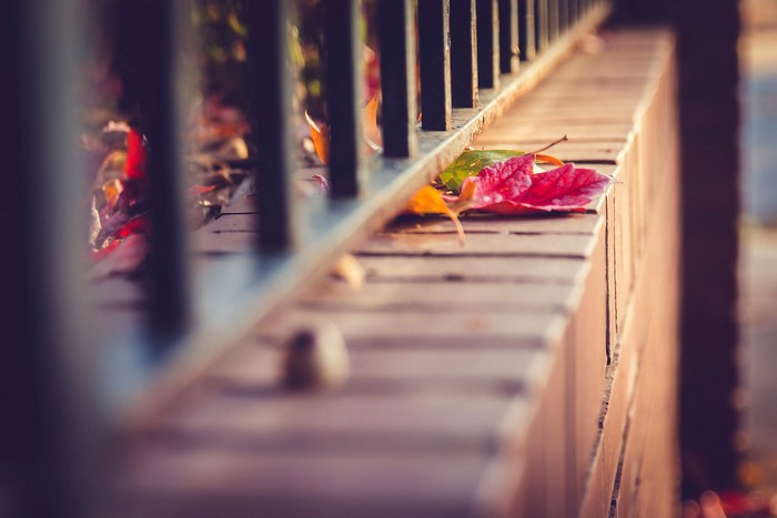 Autumn leaves on a wooden railing with a fence
