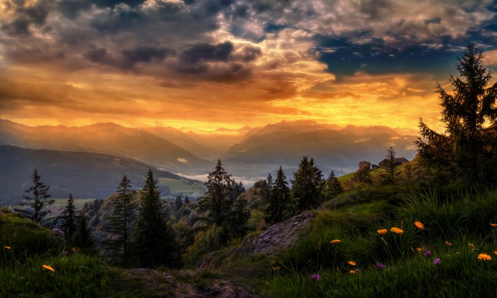 Mountain landscape with sunset and forest