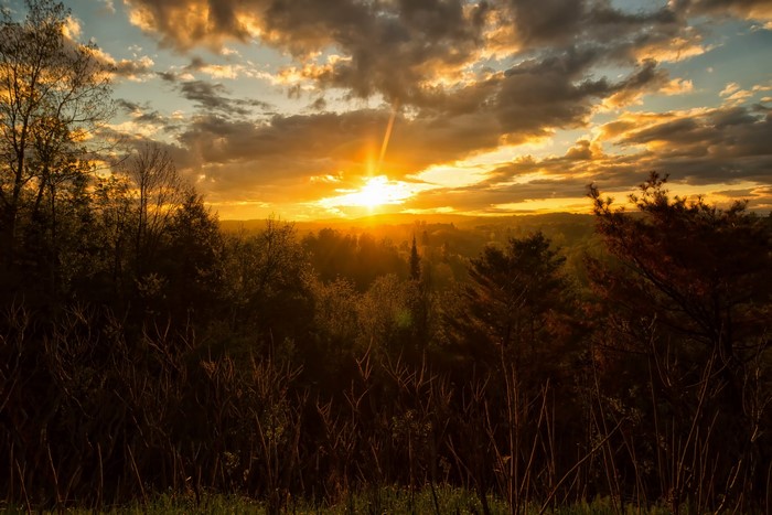 Sunset over a forest with dramatic clouds