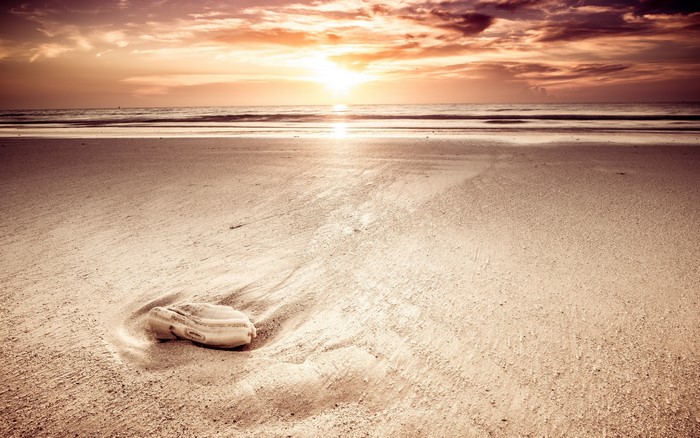 Shoe on a beach at sunset