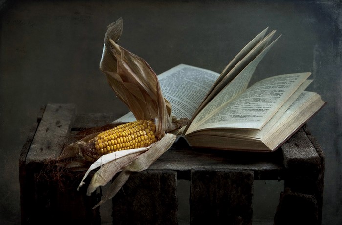 Corn and open book on wooden surface