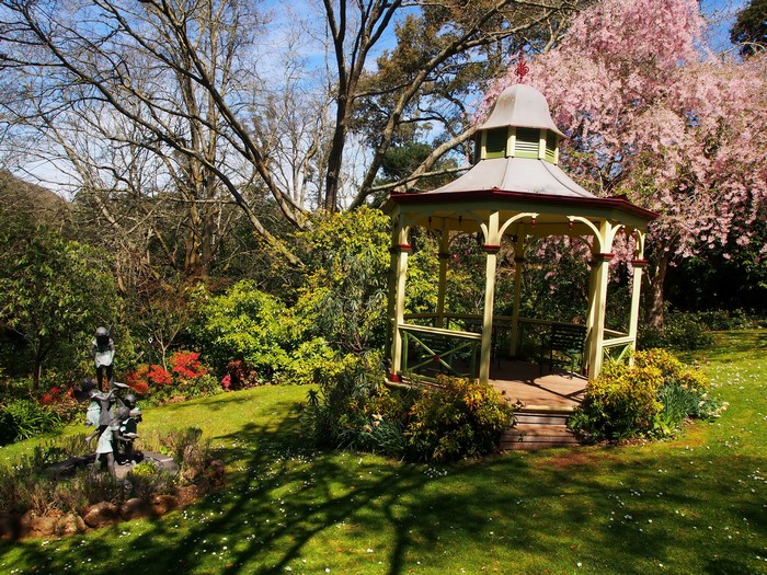 Gazebo in a Japanese Garden with Cherry Blossoms