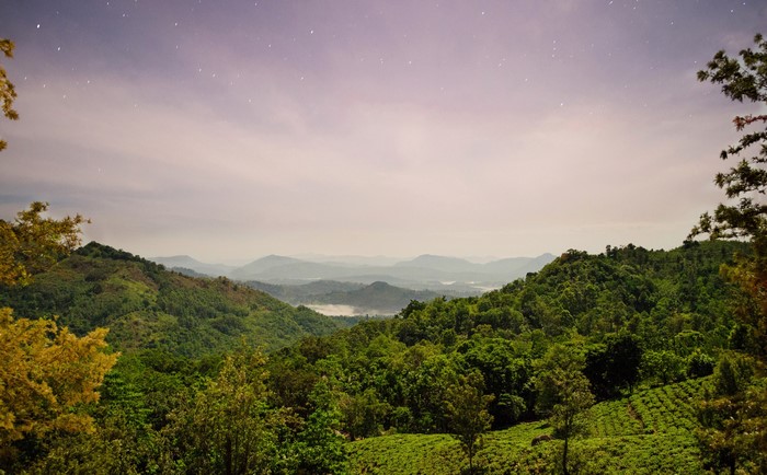 4K Scenery of Forests and Fields in Sri Lanka