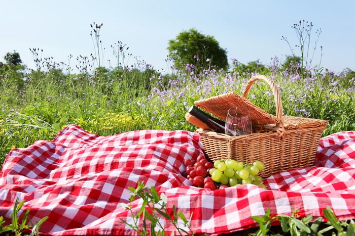 Picnic basket with grapes and wine on a checkered blanket