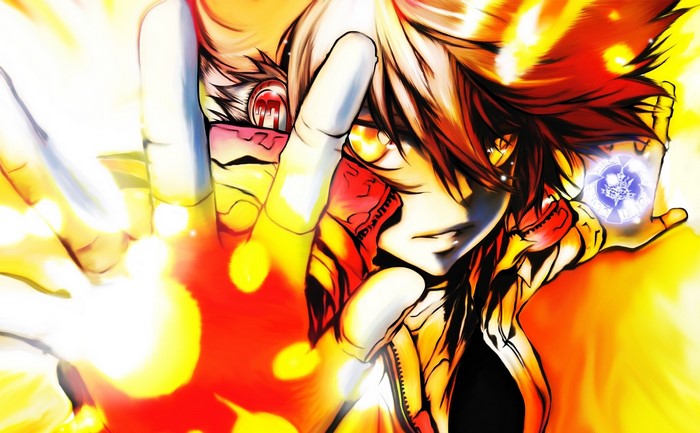Sawada Tsunayoshi from Katekyo Hitman Reborn with fire