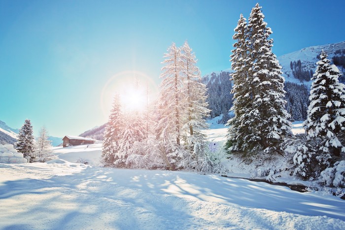 Winter landscape with snow-covered trees and a cabin