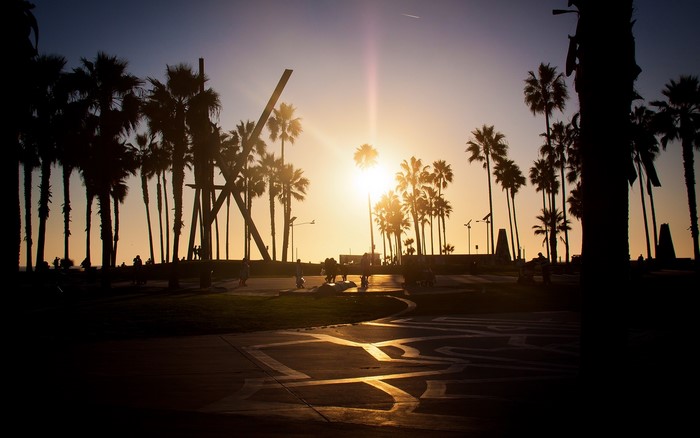 Sunset over palm trees at Venice Beach