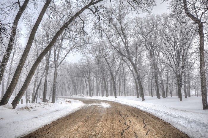 Winding road through a foggy winter forest with snow