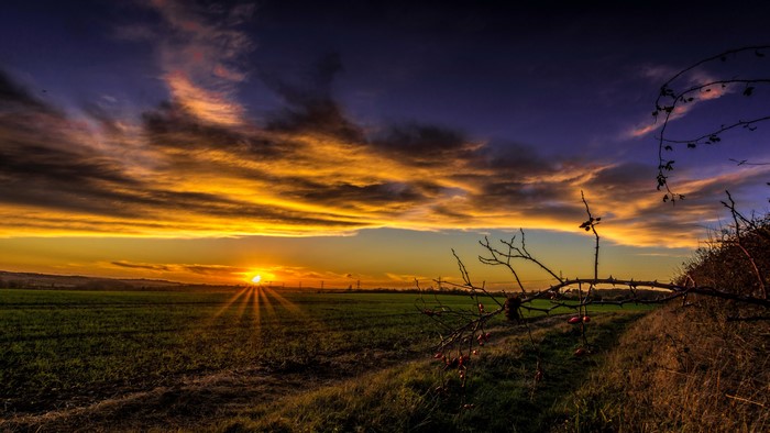 Sunset over a green field with dramatic clouds