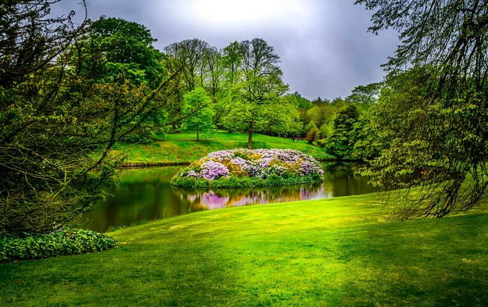 Island with flowers in a park pond