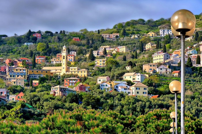 Colorful houses on a green hillside in Genoa, Italy