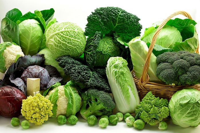 #766331 4K, 5K, Vegetables, Cabbage, Many - Rare Gallery HD Wallpapers