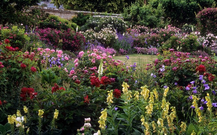 A vibrant garden with roses, peonies, and foxgloves