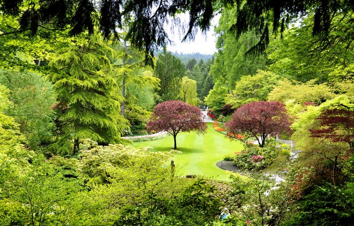 Butchart Gardens, Canada, Trees, Lawn