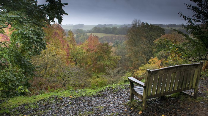 Wooden bench overlooking autumn forest landscape